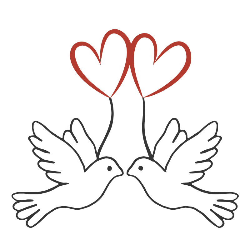 Icon of Two pigeons holding a heart